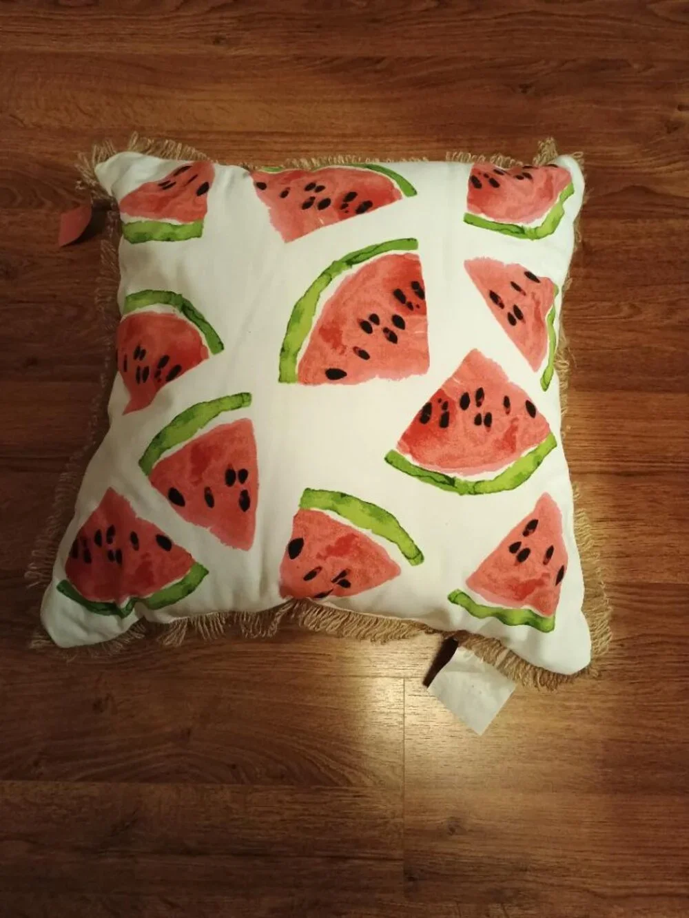 NEW with Tags- Isaac Mizrahi Indoor or Outdoor Pillow
